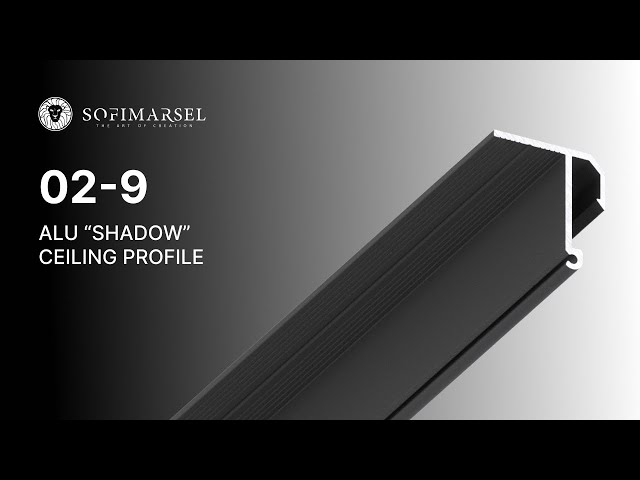 5 02-9 ALU “SHADOW” CEILING PROFILE 02-9 SHADOW PROFILE 5MM (CEILING MOUNTED)
