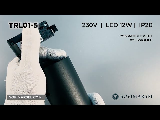 TRL01-5/TRL01-6 TRACK HEAD LIGHT