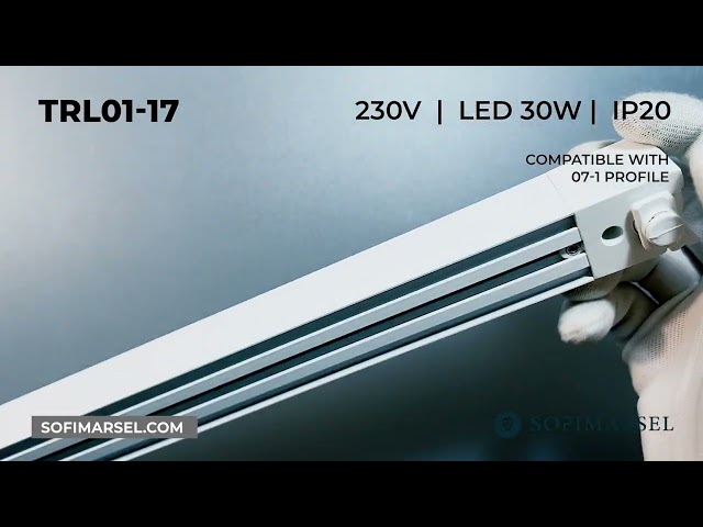 TRL01-17/TRL01-18 TRACK HEAD LIGHT